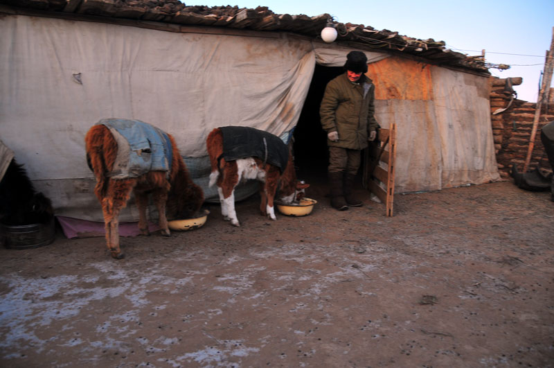 Mongolia